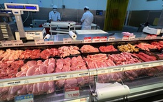 Giá heo hơi hôm nay 3.11.2025: Thấp nhất trong 1 năm qua