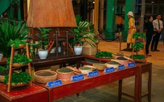 Thi khởi nghiệp về trà Việt