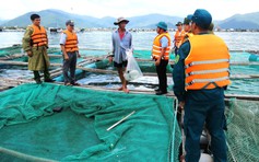 Ngư dân Khánh Hòa chạy đua phòng chống bão số 13 Kalmaegi