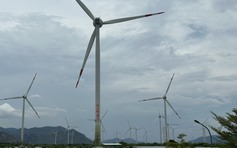 Nhà đầu tư điện gió kiến nghị hạn chế cắt giảm công suất