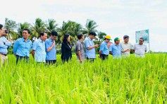 Xây dựng sức mạnh cho hạt gạo Việt Nam