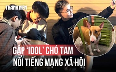 Người trẻ đua nhau đến quán nướng tại Hà Nội để được gặp chú chó Tam