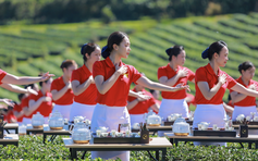 1.111 'trà nương' đồng diễn dâng trà trên đồi chè, đề cử Kỷ lục Việt Nam