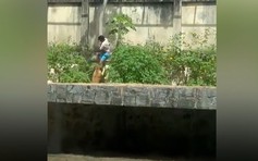 Leo vào chuồng sư tử, thanh niên bị vồ chết tại vườn thú ở Brazil