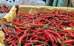 Rau xanh hạ nhiệt, ớt và thanh long sốt giá