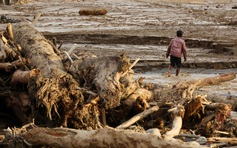 Nghiên cứu chỉ ra nguyên nhân đợt lũ lụt chết người tại châu Á vừa qua