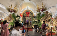 Cặp song long khổng lồ tại khách sạn 1 thế kỷ ở TP.HCM