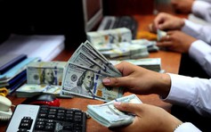 Giá USD hôm nay 14.12.2025: Đô tự do lao dốc