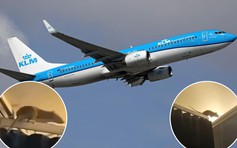 Chuột khổng lồ gây sợ hãi trên chuyến bay