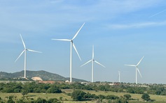 Loạt dự án điện tái tạo tỉ đô sẽ được khởi công, khánh thành ngày 19.12