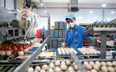 Giá hàng thiết yếu nhấp nhổm tăng