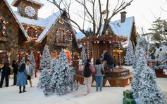 Khám phá Làng Tuyết mùa đông giữa phố núi Đà Lạt