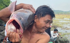 Thủy điện Trị An ngừng xả lũ: Hàng trăm người ùa xuống bắt cá 'khủng'