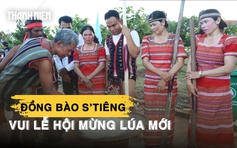 Đồng bào S’tiêng vui lễ hội mừng lúa mới trong tiếng giã gạo, cồng chiêng