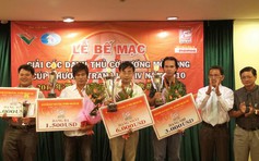 Cúp Phương Trang lần 7: Tinh hoa cờ tướng quốc tế tụ hội Đà Nẵng