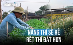 Bỏ qua thiệt hại tiền tỷ, các làng hoa sẵn sàng cho Tết Nguyên đán