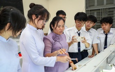 TP.HCM trả lương dạy thêm giờ cho giáo viên bằng 150% chính khóa