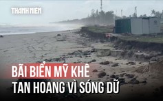 Bãi biển đẹp nhất Quảng Ngãi tan hoang: Sóng dữ 'nuốt' rừng dương, đe dọa hàng quán