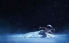 Dương Lệ Bình sẽ đến Việt Nam dự họp báo ‘Khổng Tước - The Peacock Hanoi 2026’ 