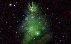 Đêm Giáng sinh 2025, độc lạ 'cây thông Noel' thắp sáng vũ trụ: Bạn có biết?