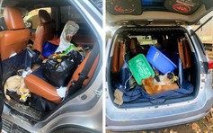 Bắt nhóm đi ô tô trộm chó ở Đồng Nai