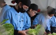 Trung học nghề: Hướng đi mới cho học sinh lớp 9 từ 2026, lộ trình ra sao?