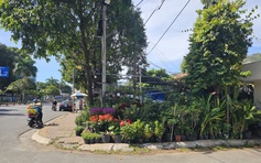 TP.HCM: Người dân bán cây kiểng trên khu đất công gần 2.000 m2, ai quản lý?