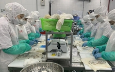 Thanh Hóa: Thưởng Tết cao nhất hơn nửa tỉ đồng