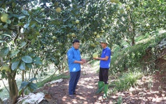 Người trẻ khởi nghiệp với nghề nông