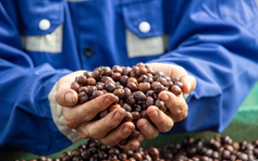 Chiến lược di sản cho cà phê Lâm Đồng