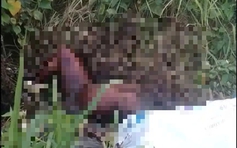 TP.HCM: Phát hiện người lõa thể, chết lâu ngày cạnh trạm thu phí