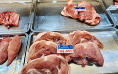 Giá heo hơi hôm nay 4.12.2025: Đồng loạt tăng thêm 2.000 đồng