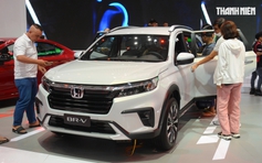 Không còn ưa chuộng sedan, người Việt chuyển hướng sang dòng xe nào?