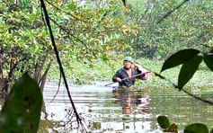 Lội sình hái bình bát ở TP.HCM: Nghề mưu sinh đầy hiểm nguy của người cha 3 con