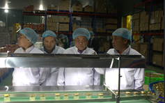 Phó chủ tịch Quốc hội Lê Minh Hoan thăm và làm việc với DTGROUP Khánh Hòa