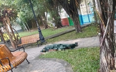 TP.HCM: Tá hỏa phát hiện người đàn ông tử vong trong công viên