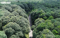 Quanh năm mát lạnh như Đà Lạt: Rừng phòng hộ Xuân Sơn lên ảnh flycam cực chất