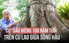 ‘Cụ’ sầu riêng trăm tuổi trên cù lao giữa sông Hậu: Báu vật của gia đình thầy giáo
