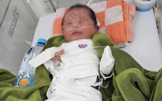 Bé gái sơ sinh bị vùi nửa người trong vườn cao su