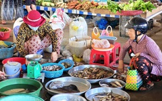 Hộ kinh doanh lại bối rối với hóa đơn