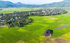 Hồi sinh gốm cổ Yang Tao