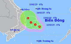 Áp thấp nhiệt đới cấp 6, giật cấp 8 hướng vào vùng biển miền Trung