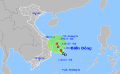 TP.HCM hứng trận mưa trái mùa lớn chưa từng có