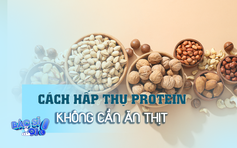 Làm thế nào để hấp thụ protein mà không cần ăn thịt?