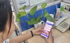 Bao nhiêu phụ huynh TP.HCM hài lòng với tuyển sinh đầu cấp trực tuyến?