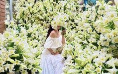 Với hơn 2.000 bông loa kèn, góc nhà biến thành vườn hoa 'độc nhất'