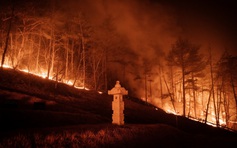 Cháy rừng tàn phá vùng đông nam Hàn Quốc