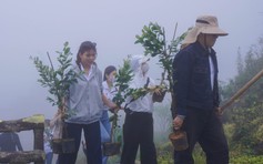 Trồng sim trên đỉnh Bàn Cờ, nơi tỉ phú Bill Gates thưởng trà