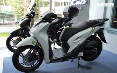 Honda SH Ý bản độc, số đẹp: Trào lưu mới của giới chơi xe tại Việt Nam