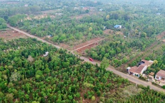 Bát nháo ‘cò đất’ dùng chiêu 'sốt đất ảo' ở Tây nguyên